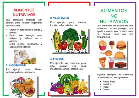 Triptico Alimentos Sdasdasd Alimentos Nutrivivos Los Alimentos