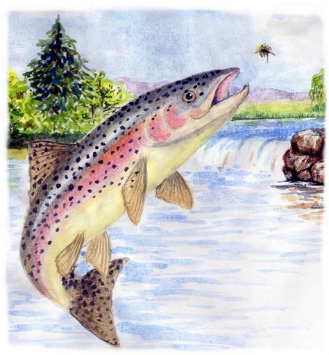 Fishing Trout That Are Awesome Fishingtrout Fly Fishing Art Trout