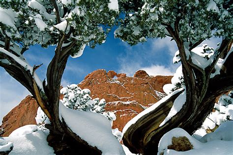 Kissing Camels In Garden Of The Gods C Colorado Lovely Colorado United States