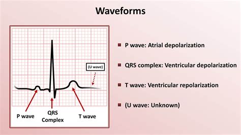 Intro To Ekg Interpretation Waveforms Segments And Intervals Youtube