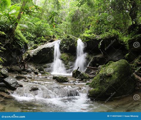 Tropical Rainforest Waterfall In Papua New Guinea Stock Photo Image