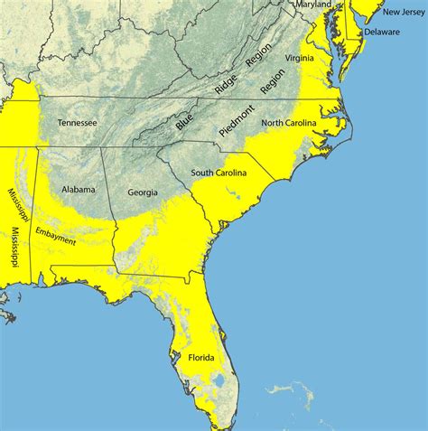 Download the carrizo plain national monument recreation map and guide. Coastal Sedimentary Deposits of the Atlantic Coastal Plain, U.S.