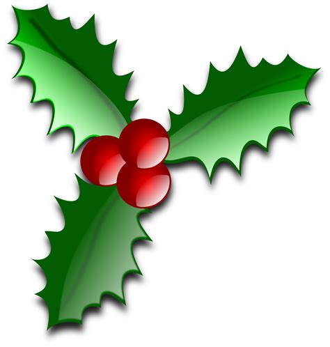 Free Christmas Flowers Png Download Free Christmas Flowers Png Png
