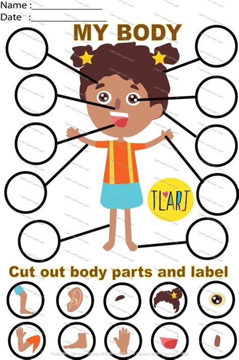 My Body Parts Labelling Activity Early Year Nursery Ks1 Teaching