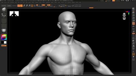 3d Model Realistic Human Male Vr Ar Low Poly Cgtrader