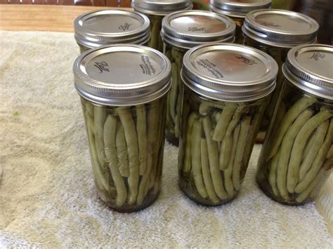 It should be a tradition in. Pressure Cooking and Canning : Canning Dilly Beans