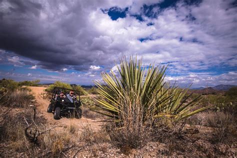 Sonoran Desert Guided 2 Hour Utv Adventure Getyourguide