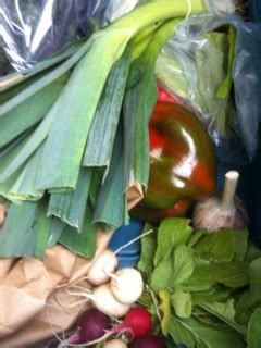 More images for how far apart do you plant cucumbers in a raised bed » Growing Radishes - Everything you need to know.