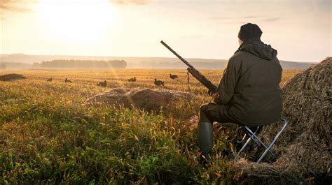 Hunting Guns The Top 5 Guns Youll Need For A Wilderness Walk Out