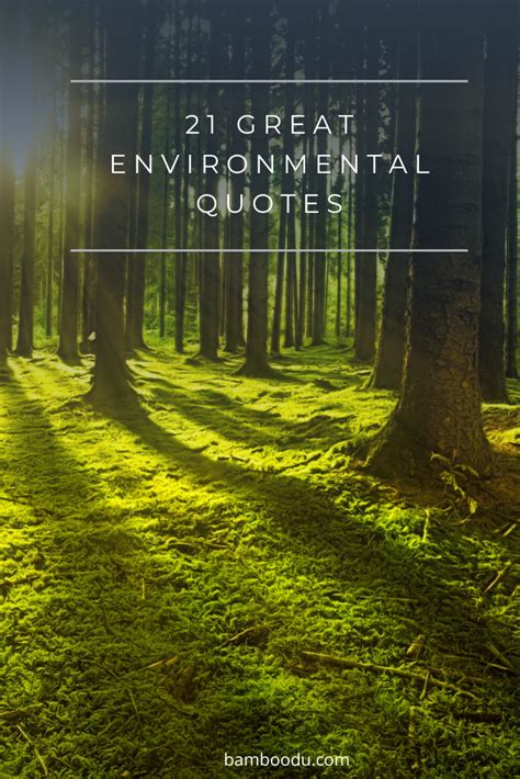 Get Inspired To Make The World A Better 21 Great Environmental Quotes