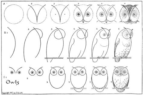 Drawing Owls Easy Step By Step Free Printable Puzzle Games