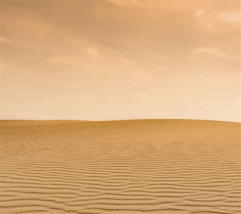 壁纸 景观 砂 黄色 地平线 沙丘 撒哈拉沙漠 草原 平原 栖息地 自然环境 地形 地理特征 干涸 风土地貌