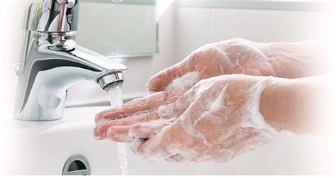 Dengan cuci tangan yang benar bisa mencegah penyakit dan menjaga kebersihan badan washing hands is healthy behavior. 7 Langkah Cuci Tangan Berdasarkan WHO | Halaman Bunda