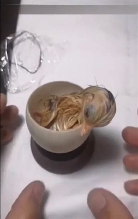 Яйца Парней Лет Фото Telegraph