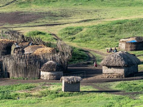 Traditional Maasai Village In The Ngorongoro Conservation Area