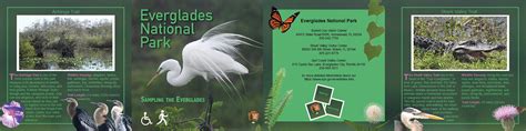 Everglades National Park Hiking Brochure On Behance