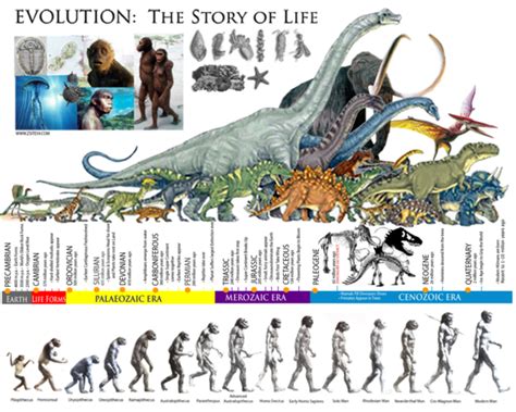 Charles Robert Darwin Timeline Timetoast Timelines