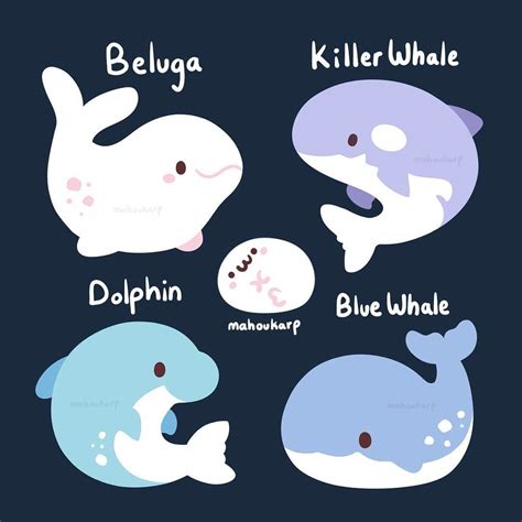 Four Different Types Of Whales With Names On Them