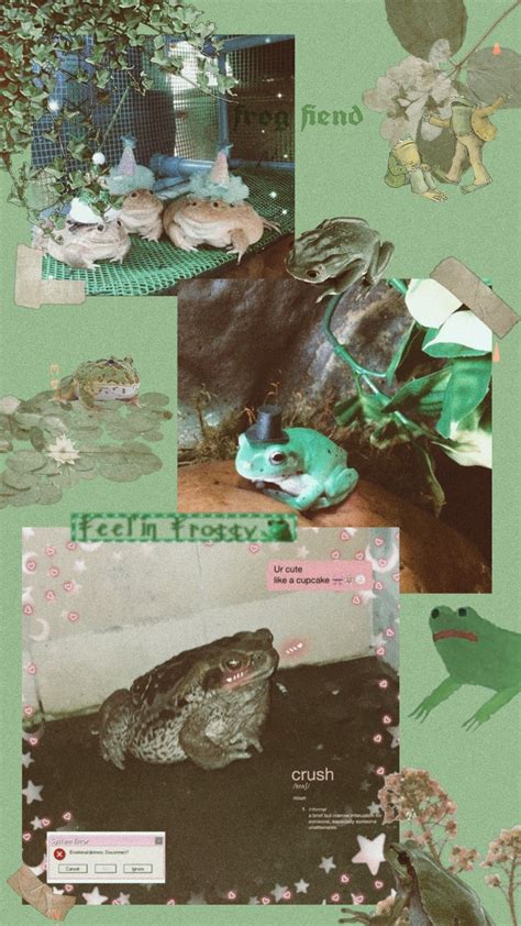 Cute Frog Aesthetic Wallpaper Desktop