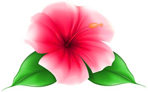 Exotic Flower Clipart Clipground