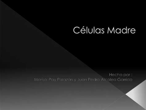 Ppt Células Madre Powerpoint Presentation Free Download Id2663260