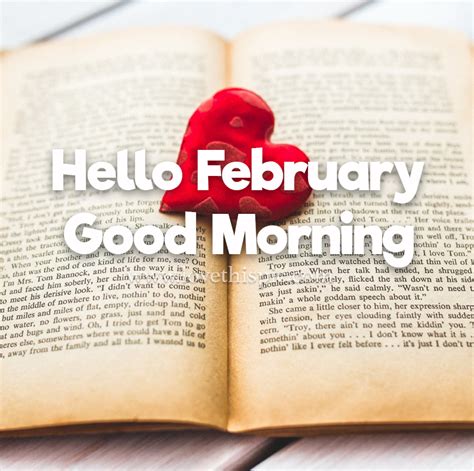 Hello February Good Morning Quote Pictures Photos And Images For