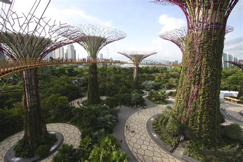 Gardens by the bay overview. File:OCBC Skyway, Gardens By The Bay, Singapore - 20140809 ...
