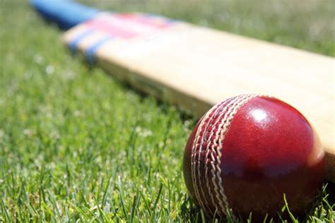 English willow bats are typically for hard ball cricket and kashmir willow is for tennis ball and soft ball cricket. Guide to UK Sport | Foreign Students