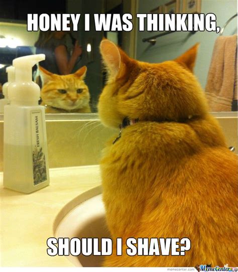To Shave Or Not To Shave Shaving Funny Pictures Humor
