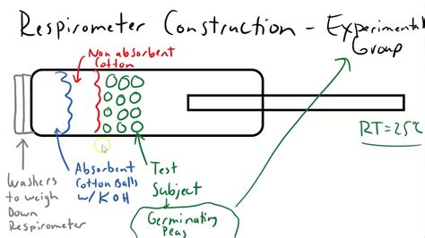 Ap Biology Investigation 6 Cellular Respiration Youtube