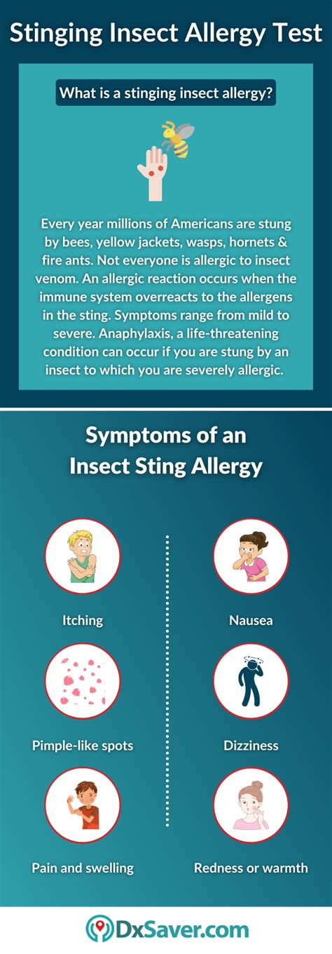 What Is Stinging Insect Allergy Test Causes Symptoms And Treatment