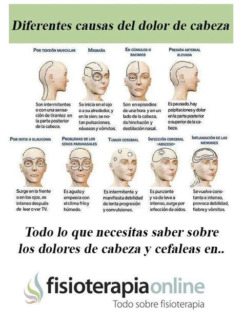 154 Los Diferentes Dolores De Cabeza Body Health Health Physiotherapy