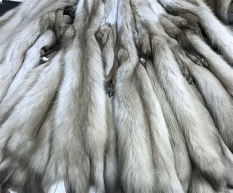 Marten Fur Skin Skins For Sewing Ebay