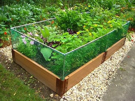 Raised Garden Bed Rabbit Fence Gardenista