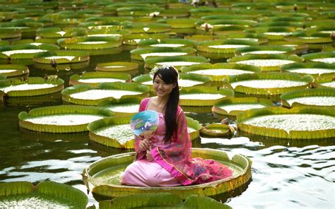 You Can Actually Sit On Giant Lily Pads In This Taipei Park Lily Pads