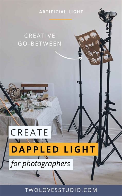 Create Dappled Light Using A Speedlite How To Guide