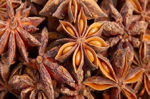 More 104/33, pasumpon muthu ramalingam street, cumbam, theni, tamil nadu, 625516, india. Star Anise in Tamil nadu - Manufacturers and Suppliers India