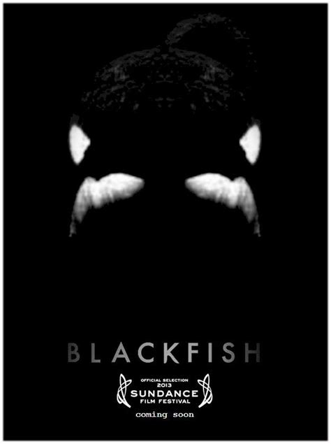 Review Blackfish Peoples Critic Film Reviews