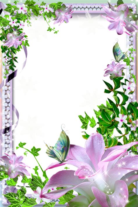 Beautiful Frame Png 20 Free Cliparts Download Images On Clipground 2022