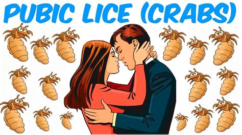 Pubic Lice Crabs Youtube