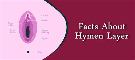 Interesting Facts About Hymen Layer By Umabharathi Medium