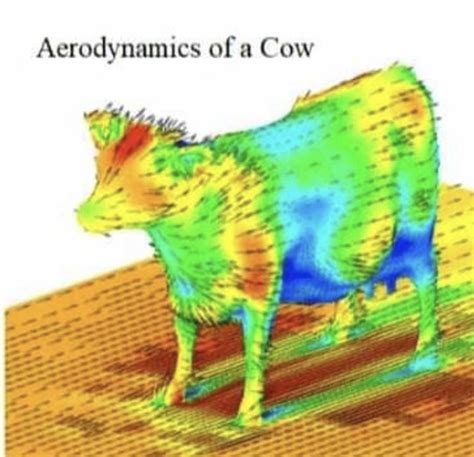 Aerodynamics Of A Cow Rcows