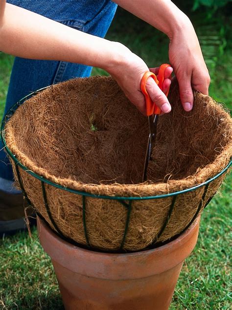 How To Plant Hanging Baskets Hanging Flower Baskets Plants For