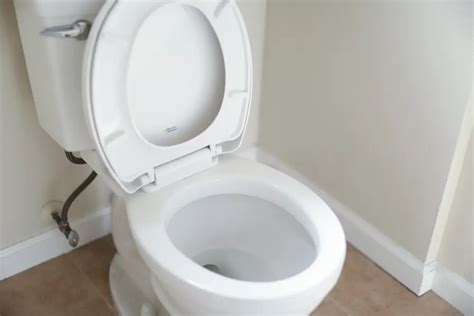 Types Of Toilet Flush Systems A Comprehensive Guide Edbergsolutions Com