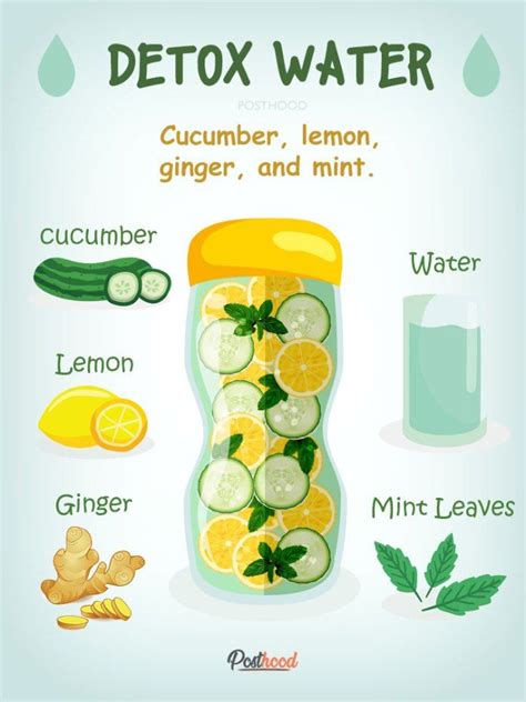 5 Diy Detox Drink Recipes For Weight Loss And Body Cleanse
