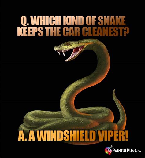 Snake Jokes Python Puns Viper Humor 2