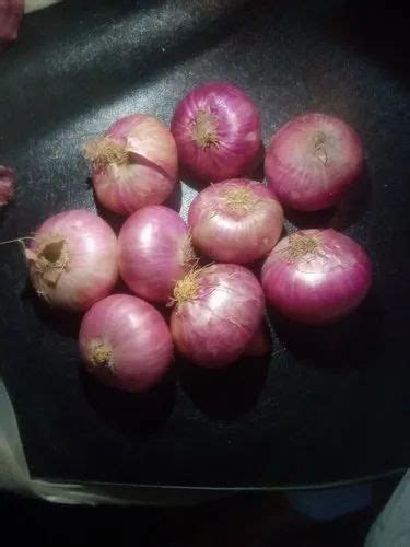 A Grade Bangalore Onion Packaging Size 200 Kilograms Onion Size