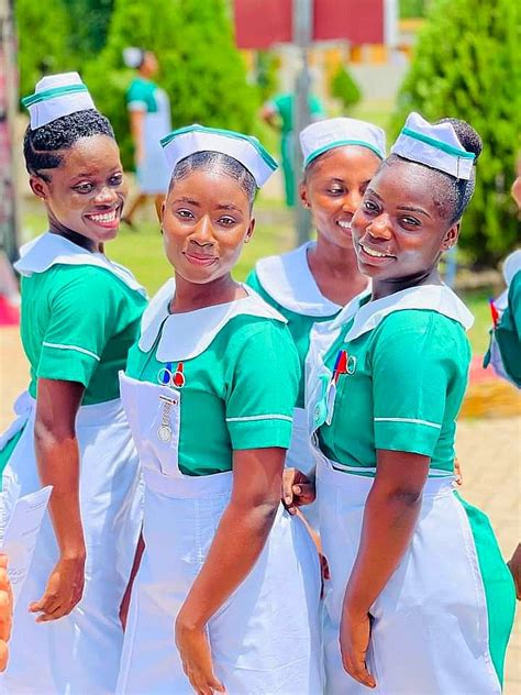 Ghana Nursing Training Form 2023 Printable Forms Free Online