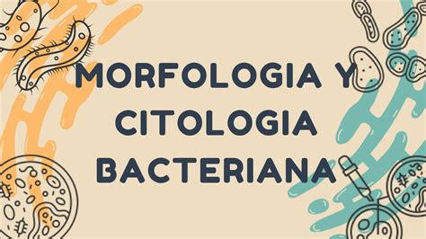 Morfología Y Citología Bacteriana 05 Od Hu Sanai Freysi MuÑoz Estrada