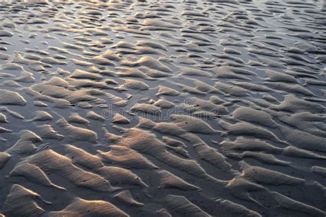 Beach Scene With Sand Ripples Stock Photo Image Of Holiday Relax
